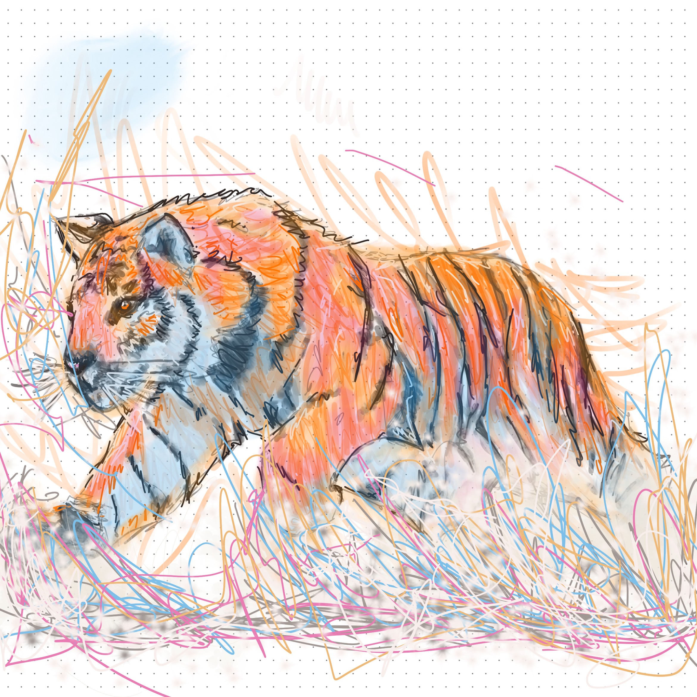 Schrodingers tiger1.jpg