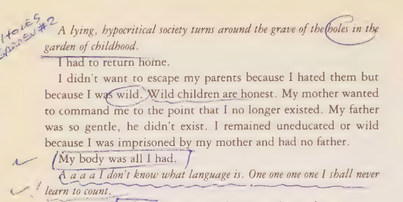 Acker, K. (1994) - MMDAN p.10.png