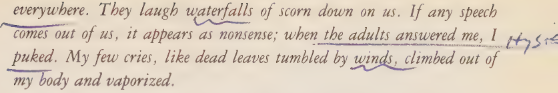 Acker, K. (1994) - MMDAN p.9.png